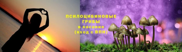 соль ск Абаза